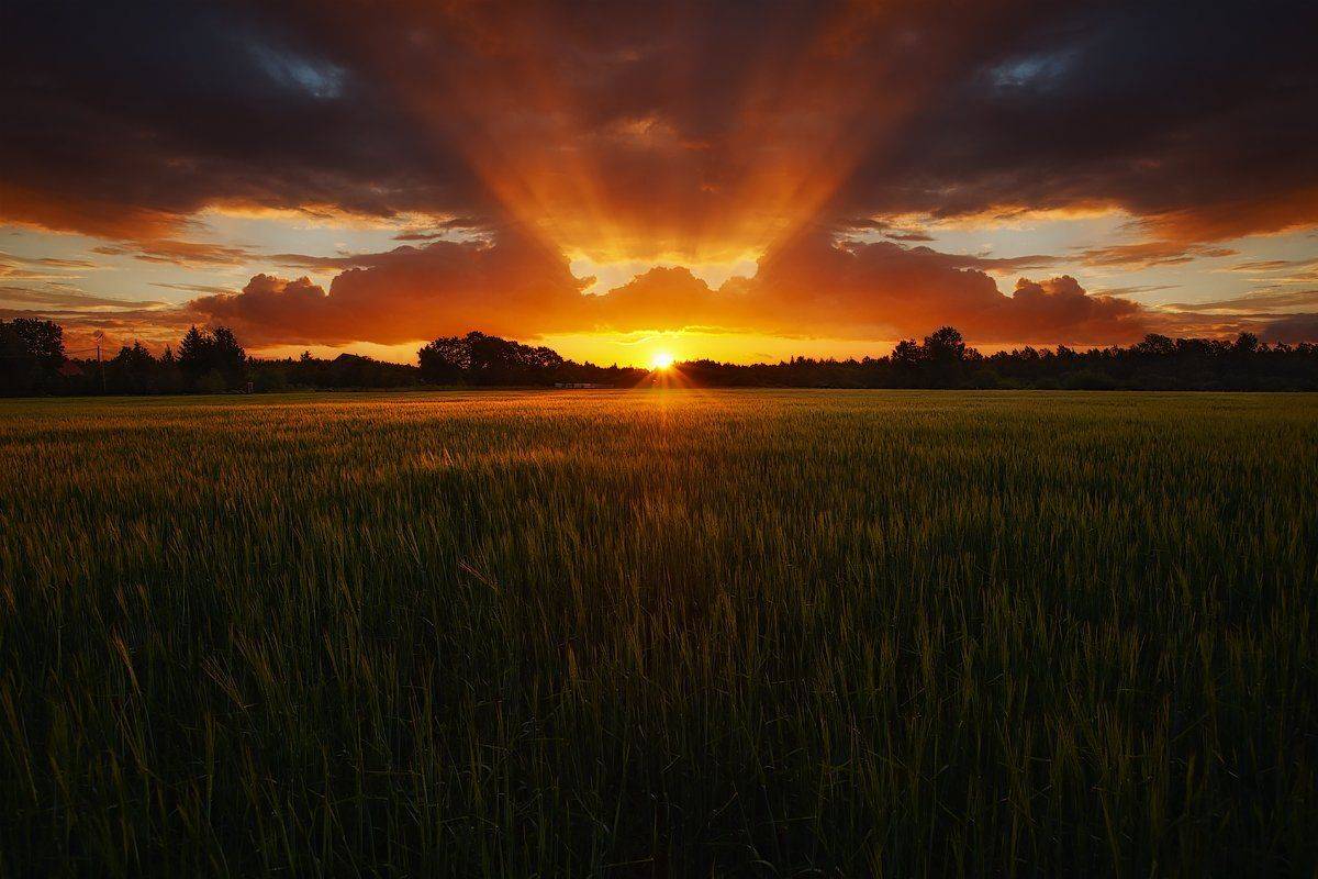 2015, Закат, Ключенков, Корона, Лето, Kljuchenkow Aleksandr