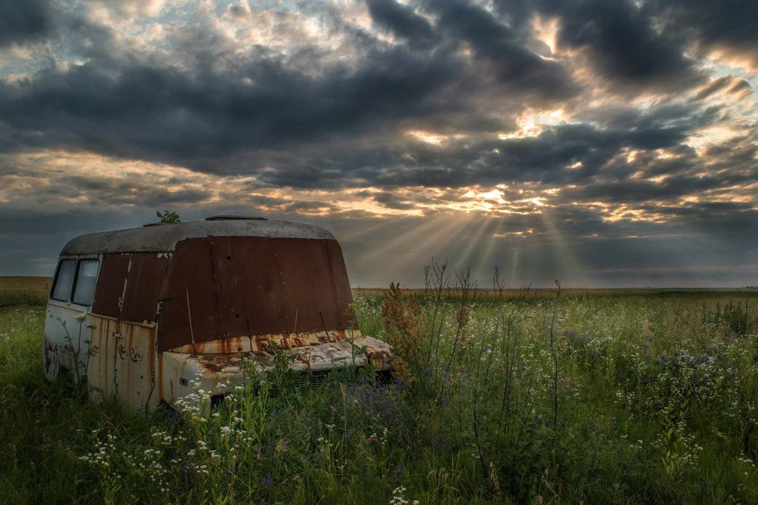 , Стельмах Тарас