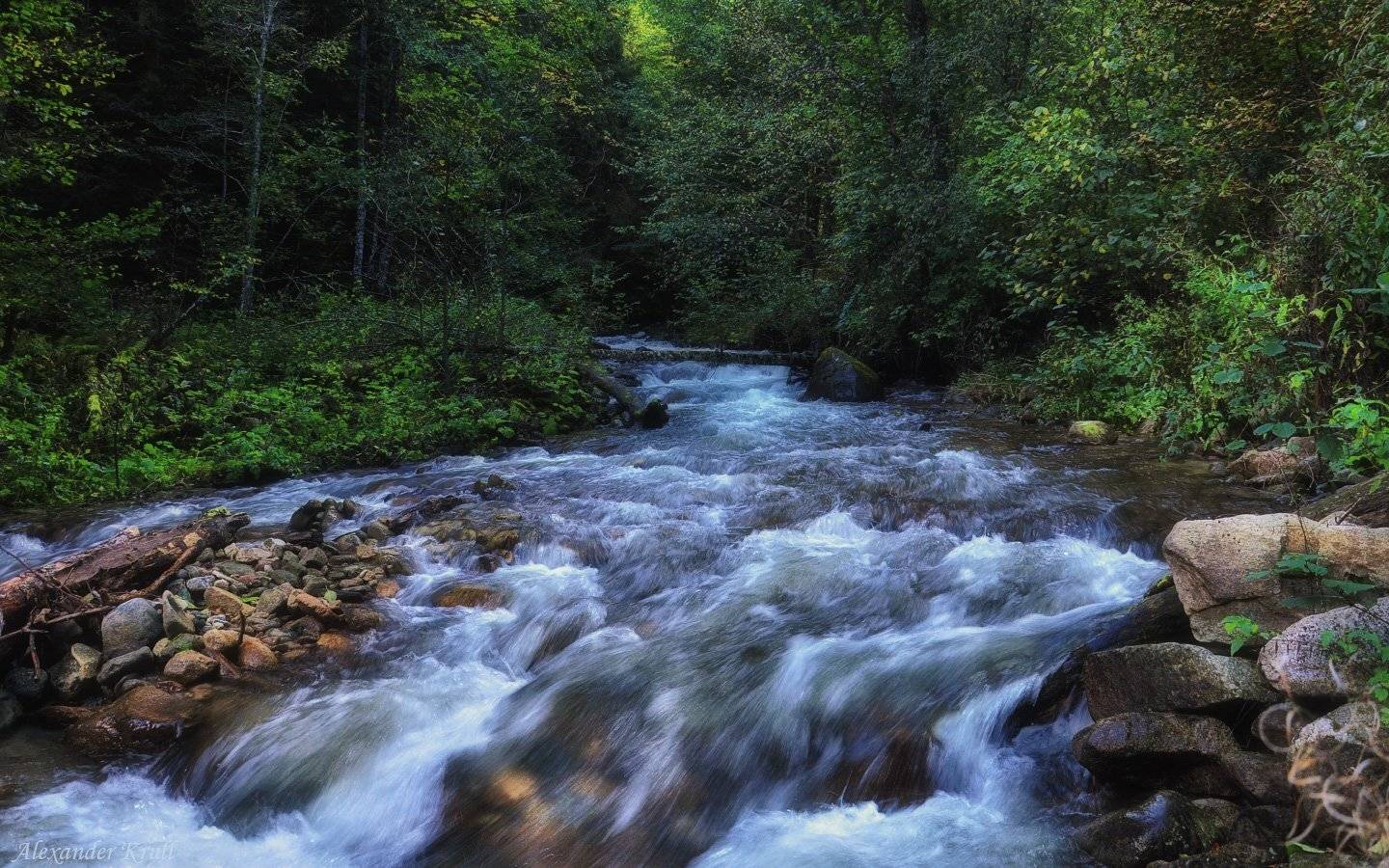 кавказ, кчр, Александр Круль