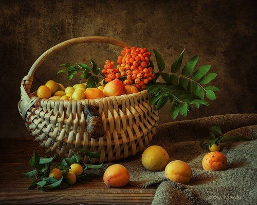Летние приключения улиток