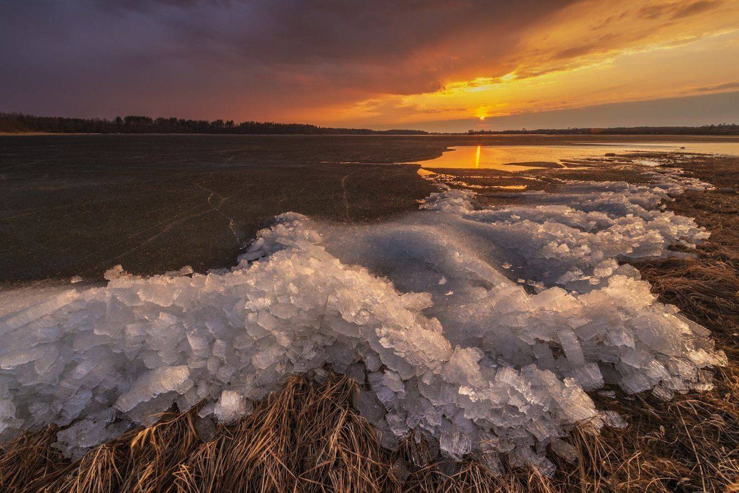 , Роман Горячий