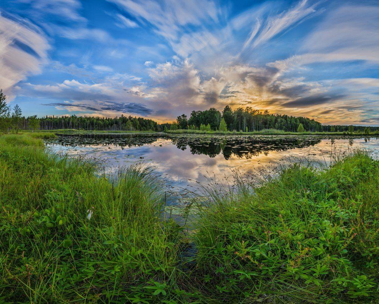 , Олег Авдеев