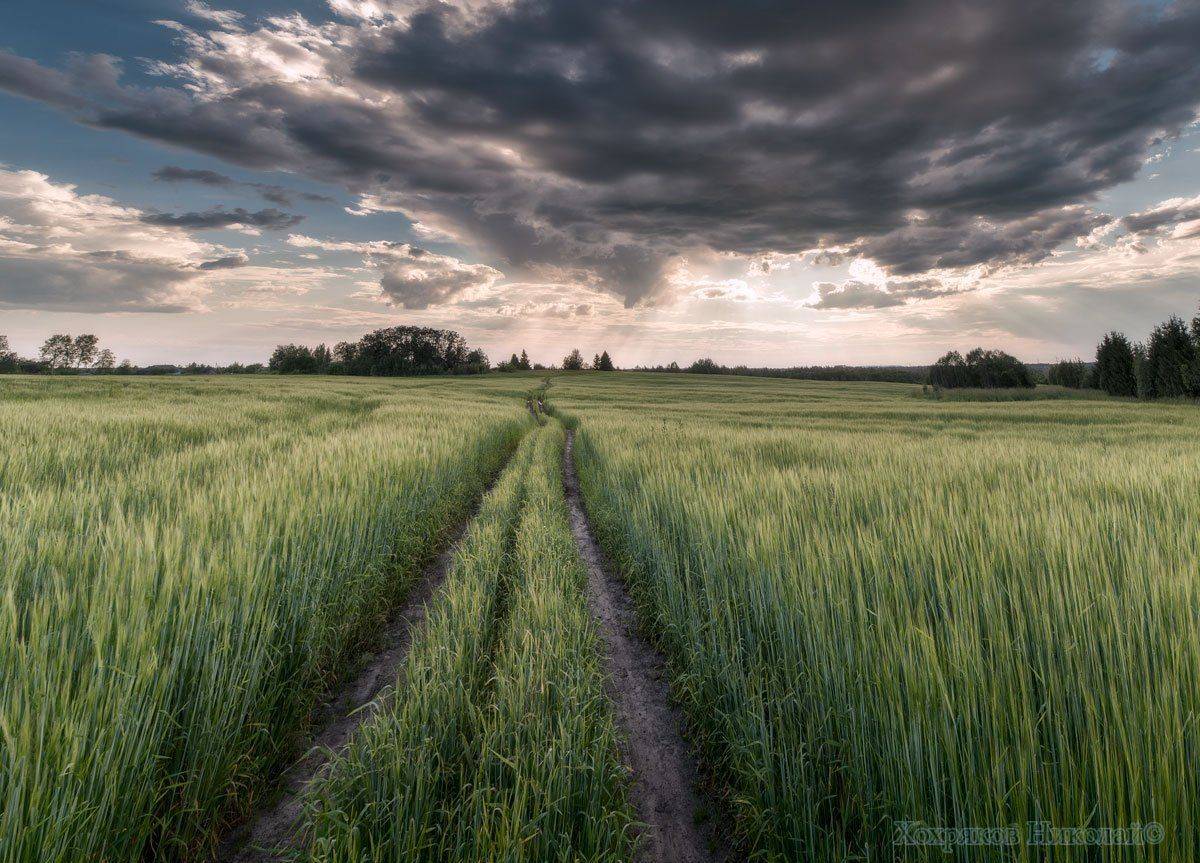 , Хохряков Николай