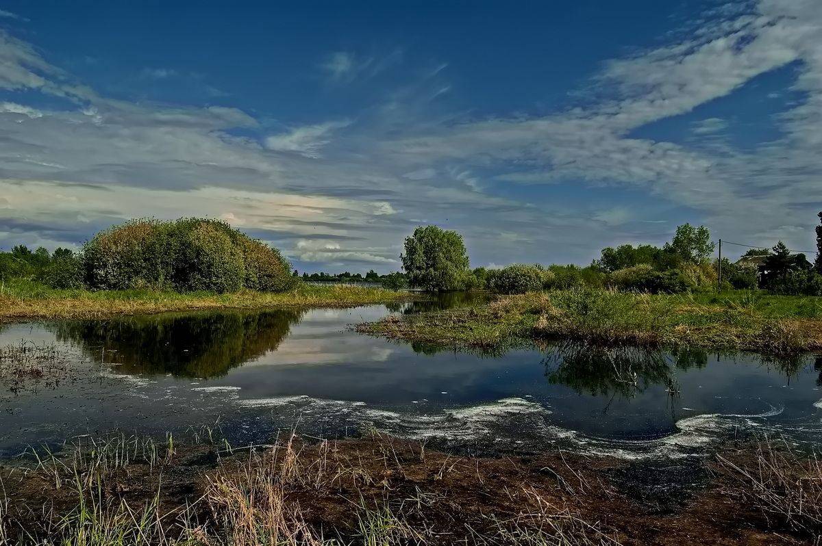 , Николаев Владимир
