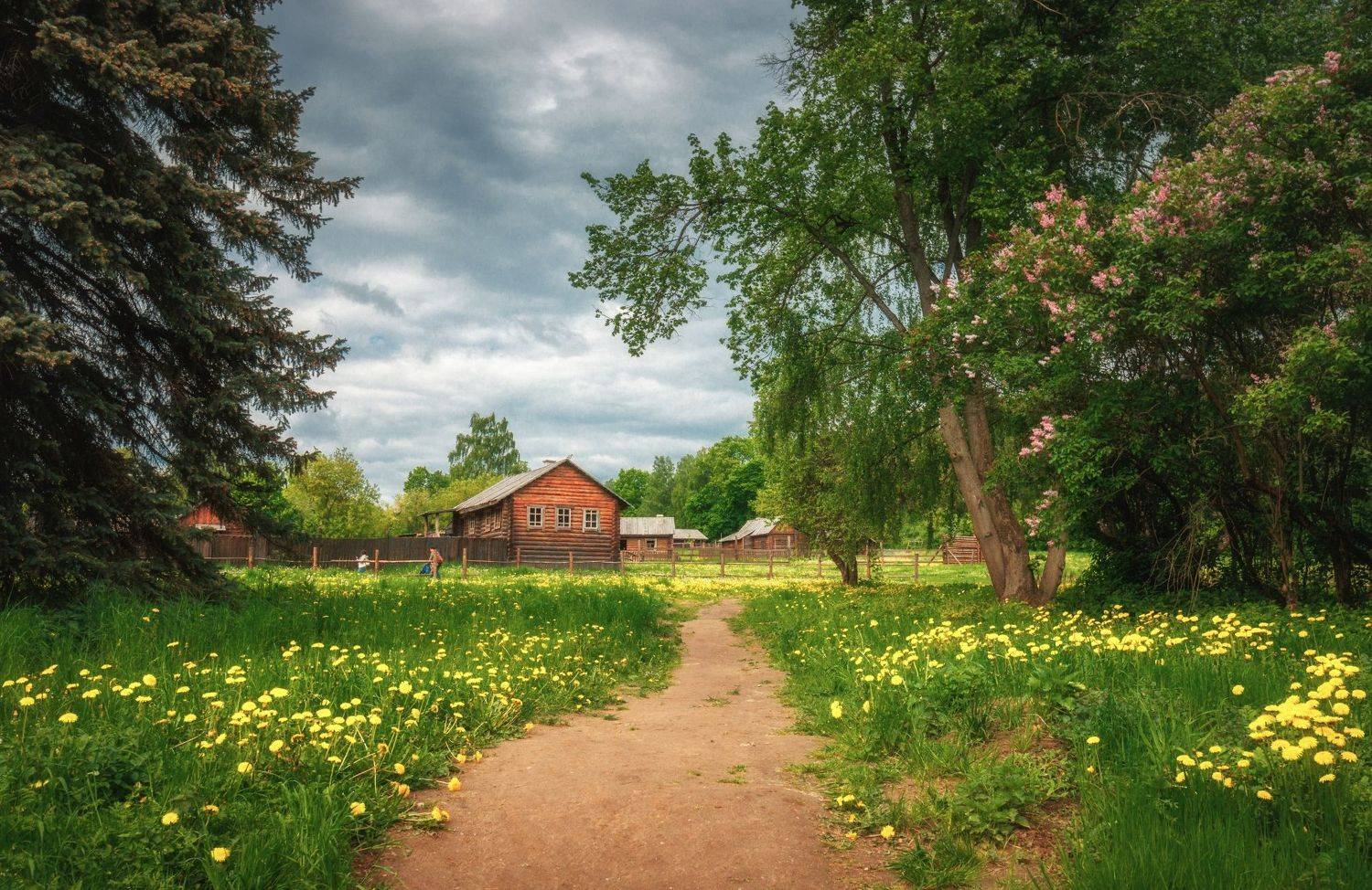 , Котов Андрей