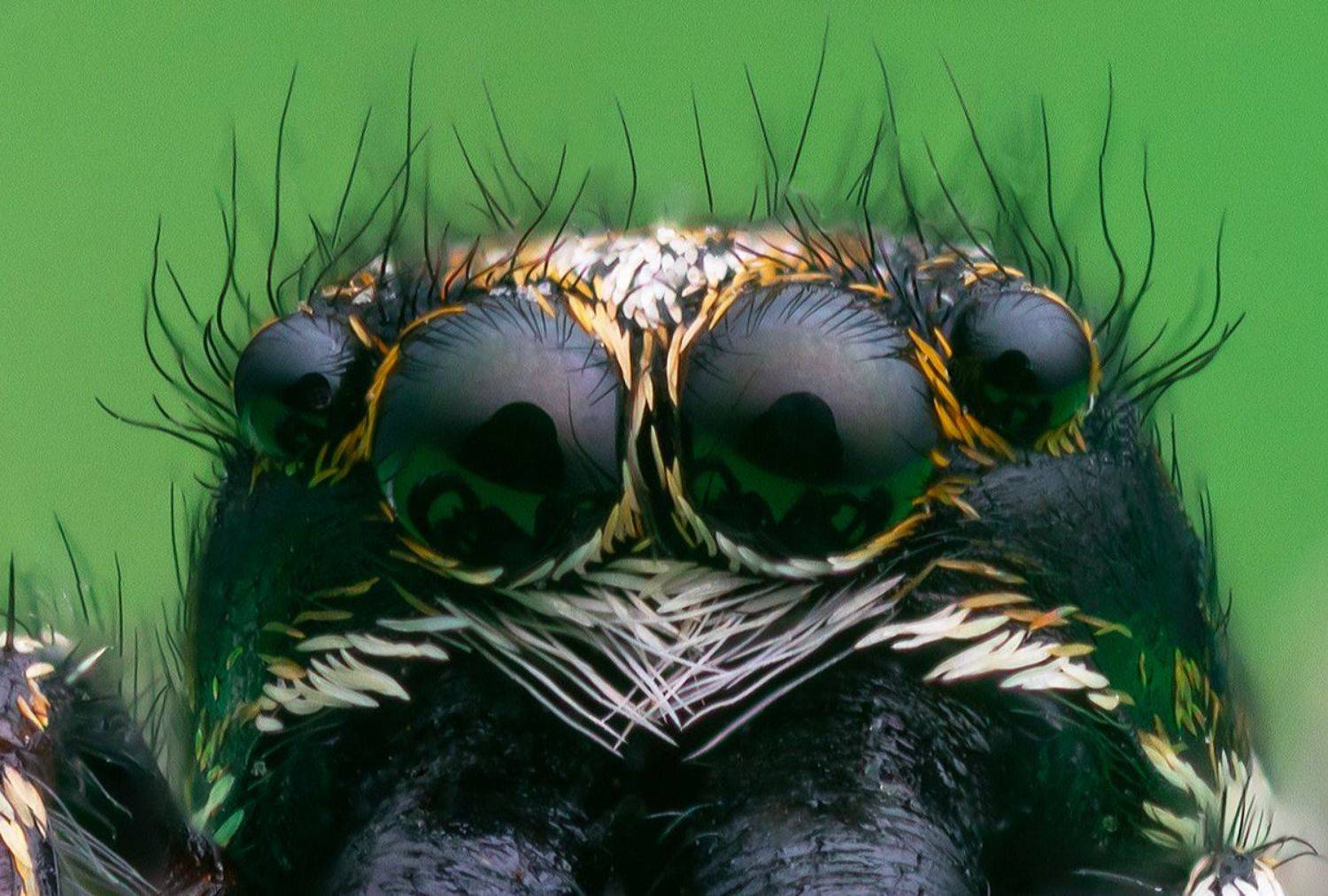 , Вячеслав Мельников