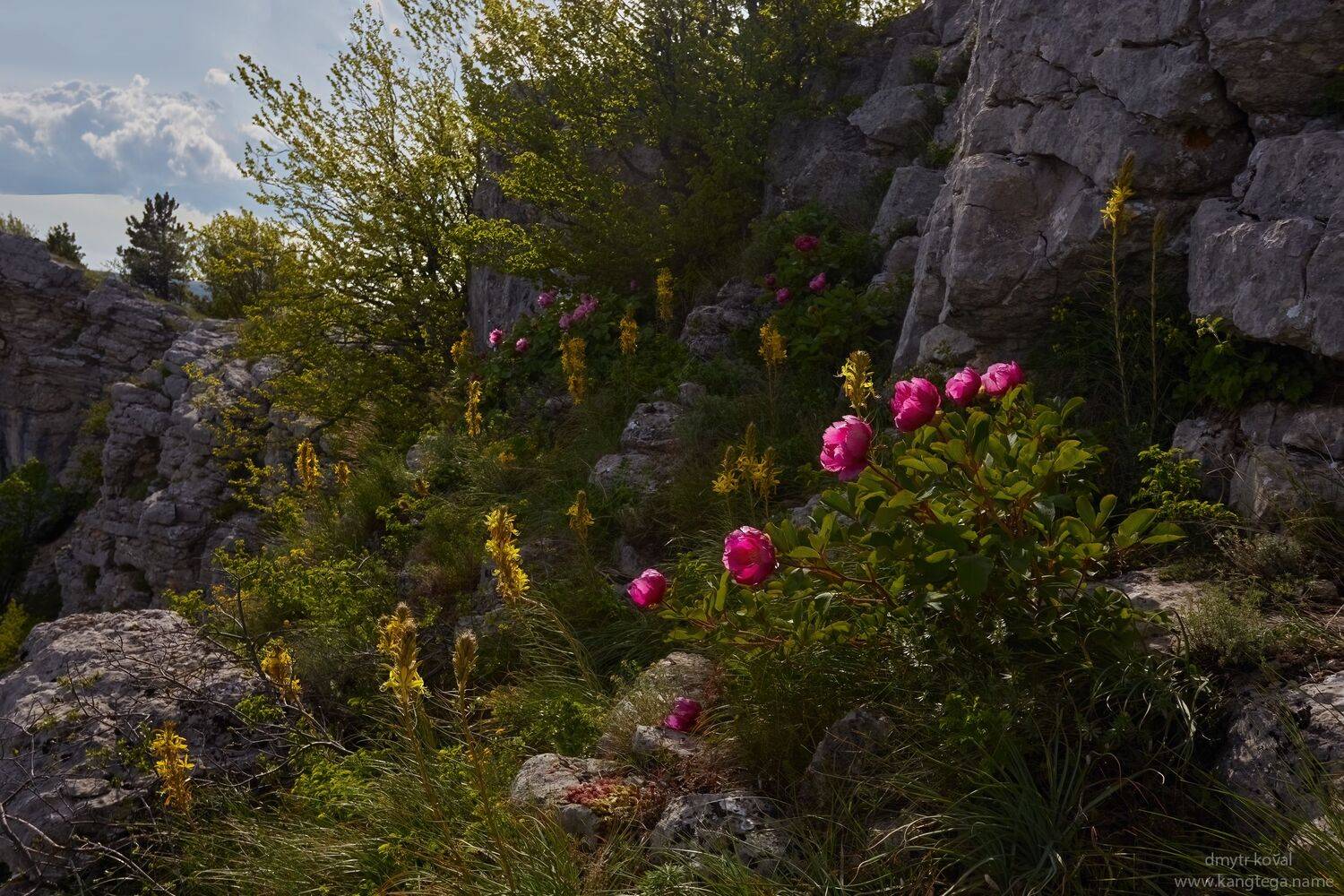 дмитр коваль, гималаи и крым вне треков, пейзаж как магия, Коваль Дмитр