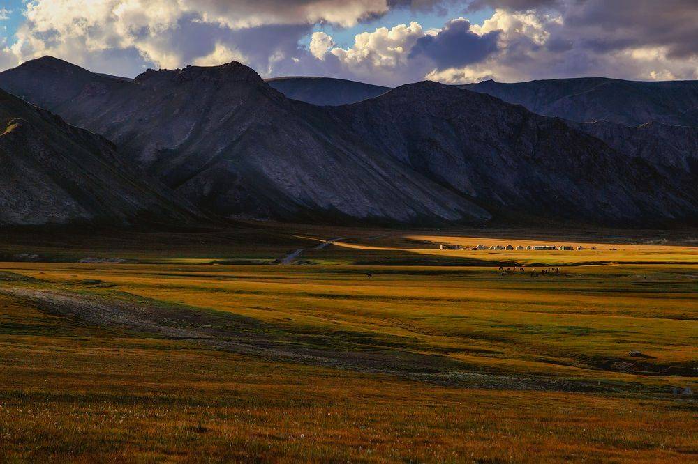 кыргызстан, Элина Магалимова