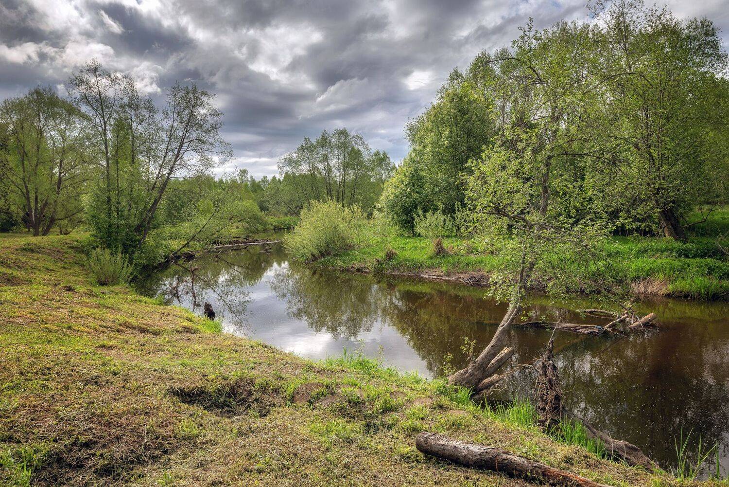 весна, река, лес, май, Сергей Аникин