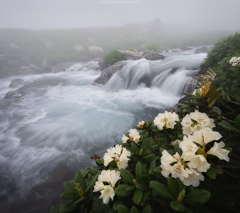 кчр, фототур, яковлевфототур, загеданские, иметеринские, озеро, безмолвия Река Имеретинка в облаках фото превью