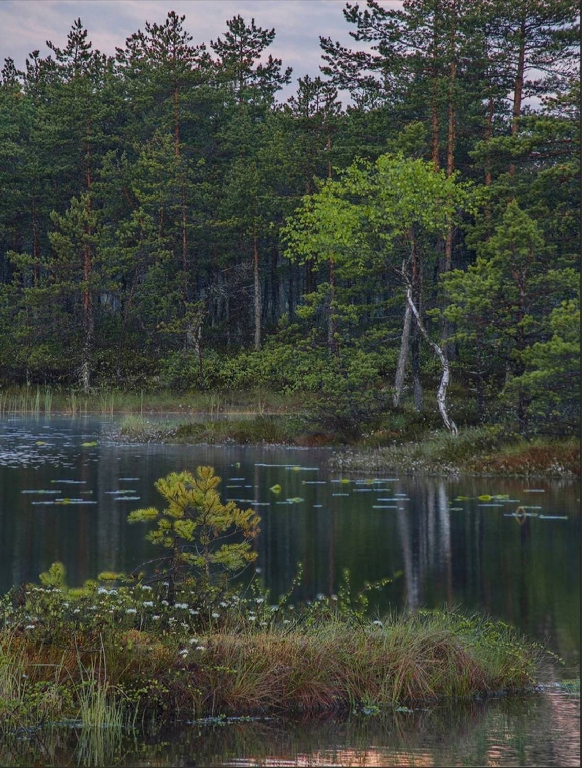 , Петр Косых