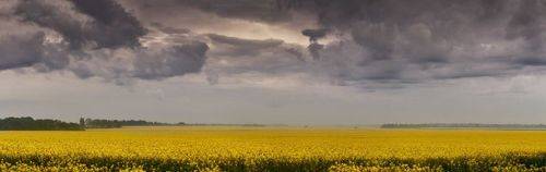 Пасмурная рапсодия