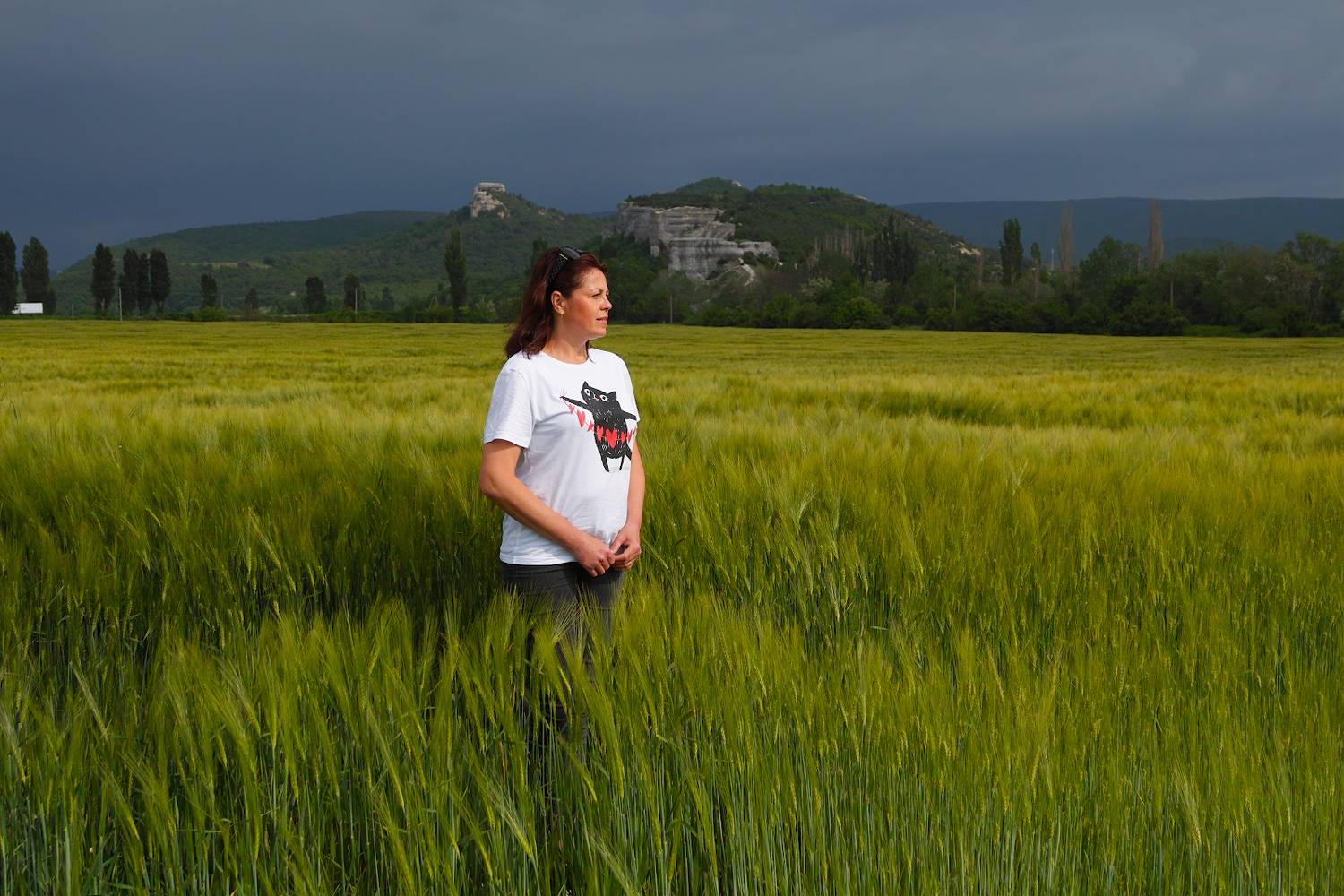 , Дмитрий Цыпляев