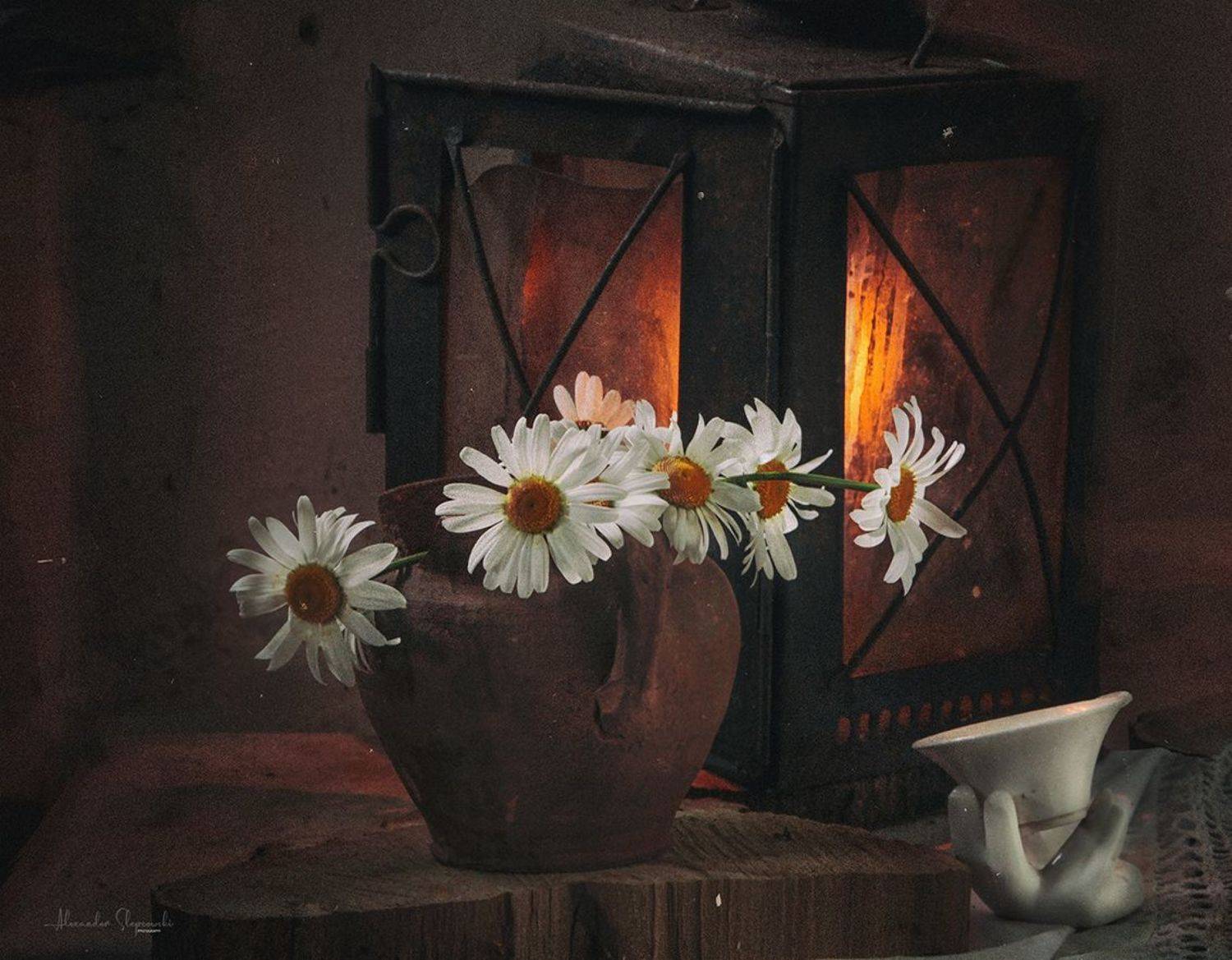 , Alexander Slepcowski