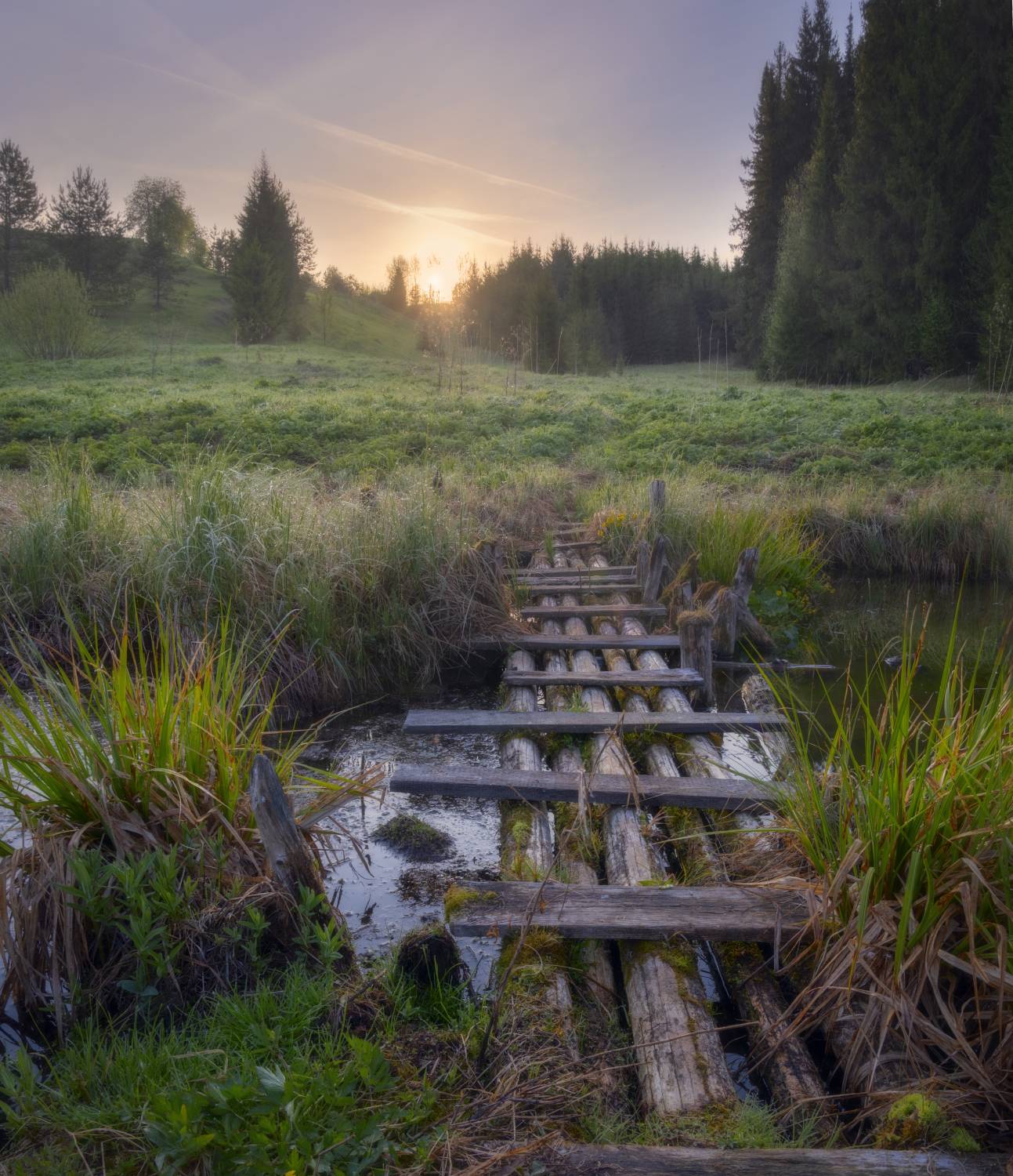 весна рассвет мостик болото утро солнце, Сергей Буторин
