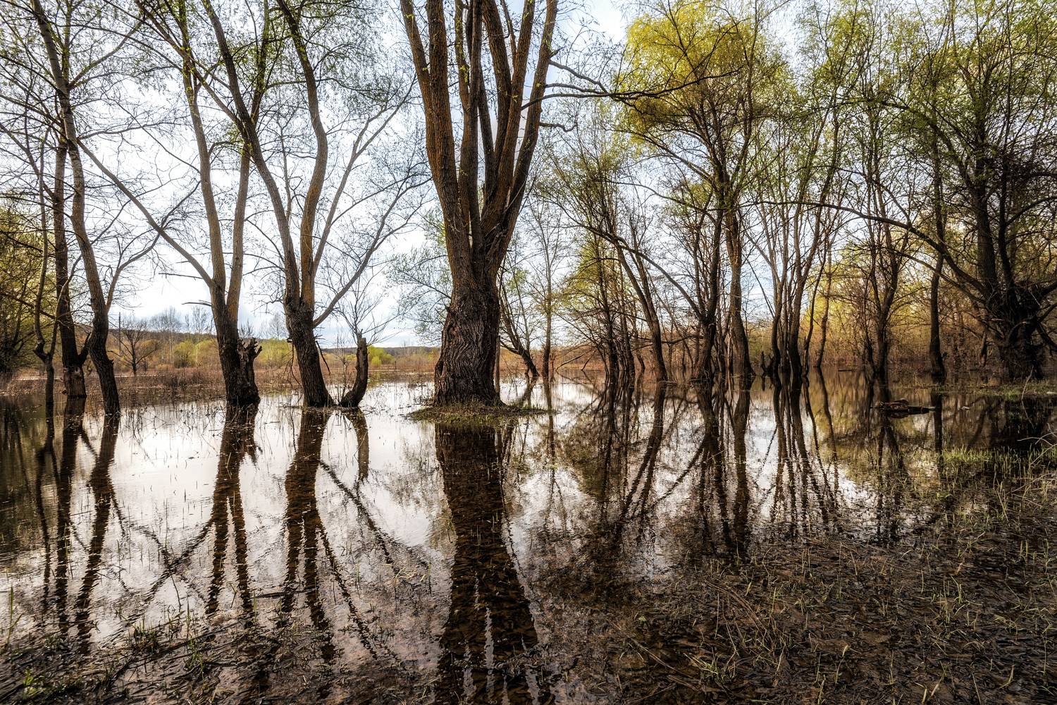 поездка, весна, половодье, Владимир Штыриков