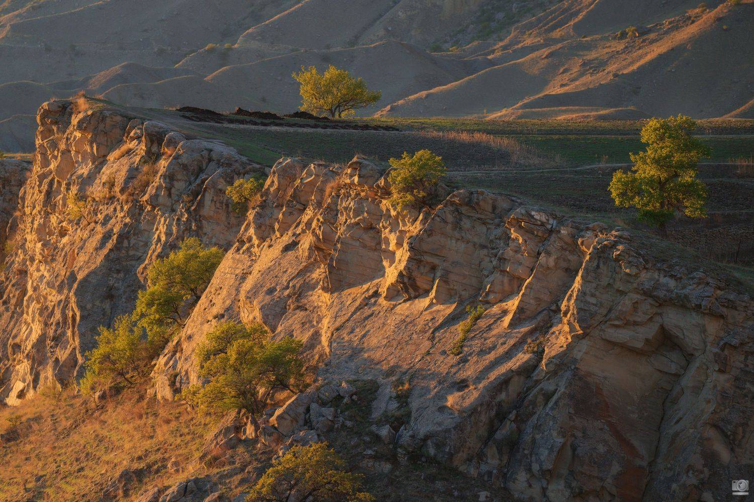 Дагестан Чох , Ковалев Дмитрий