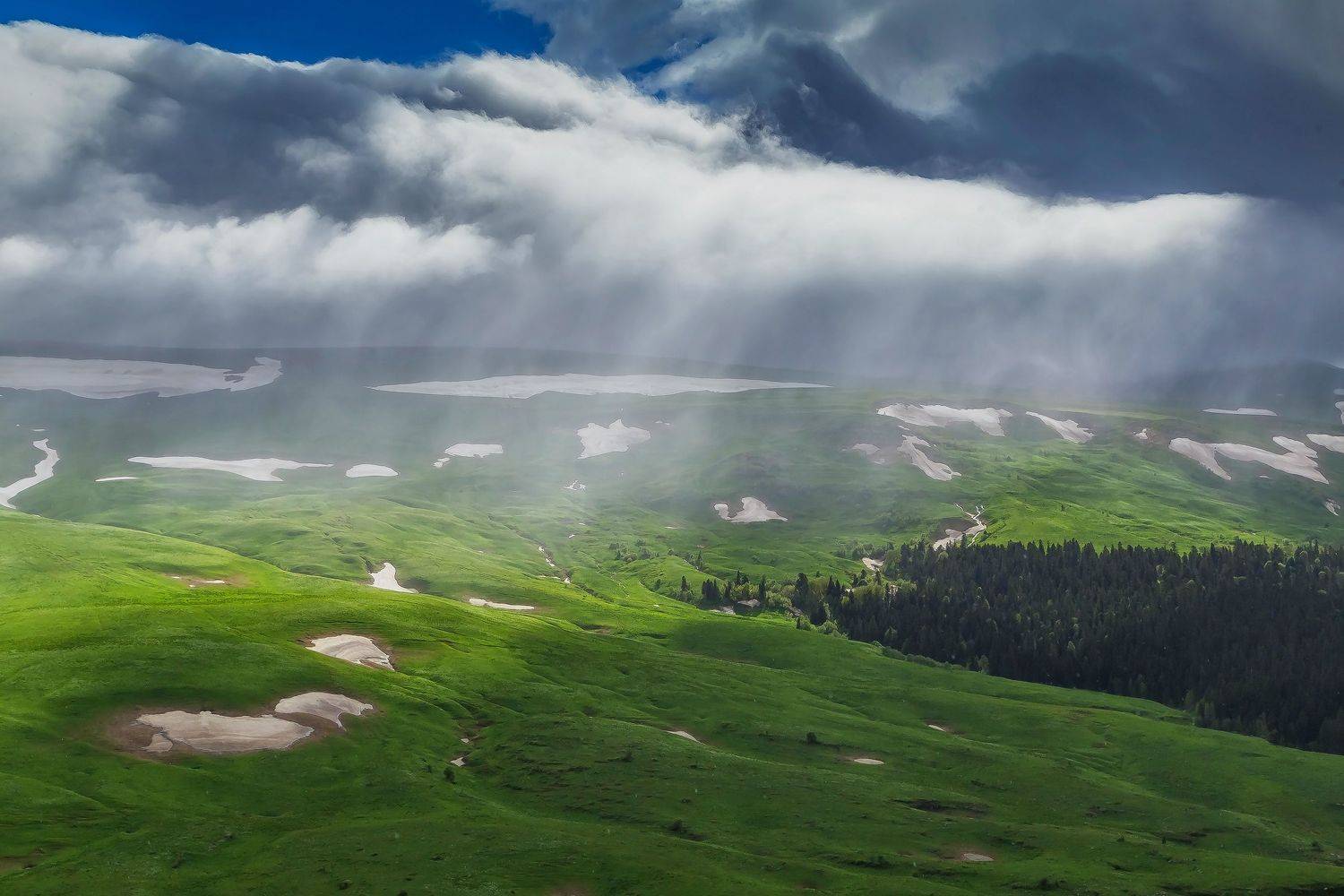 лагонаки ,природа, Подосинников Максим