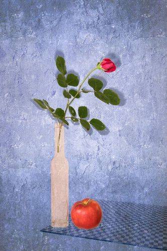 Apple & Rose