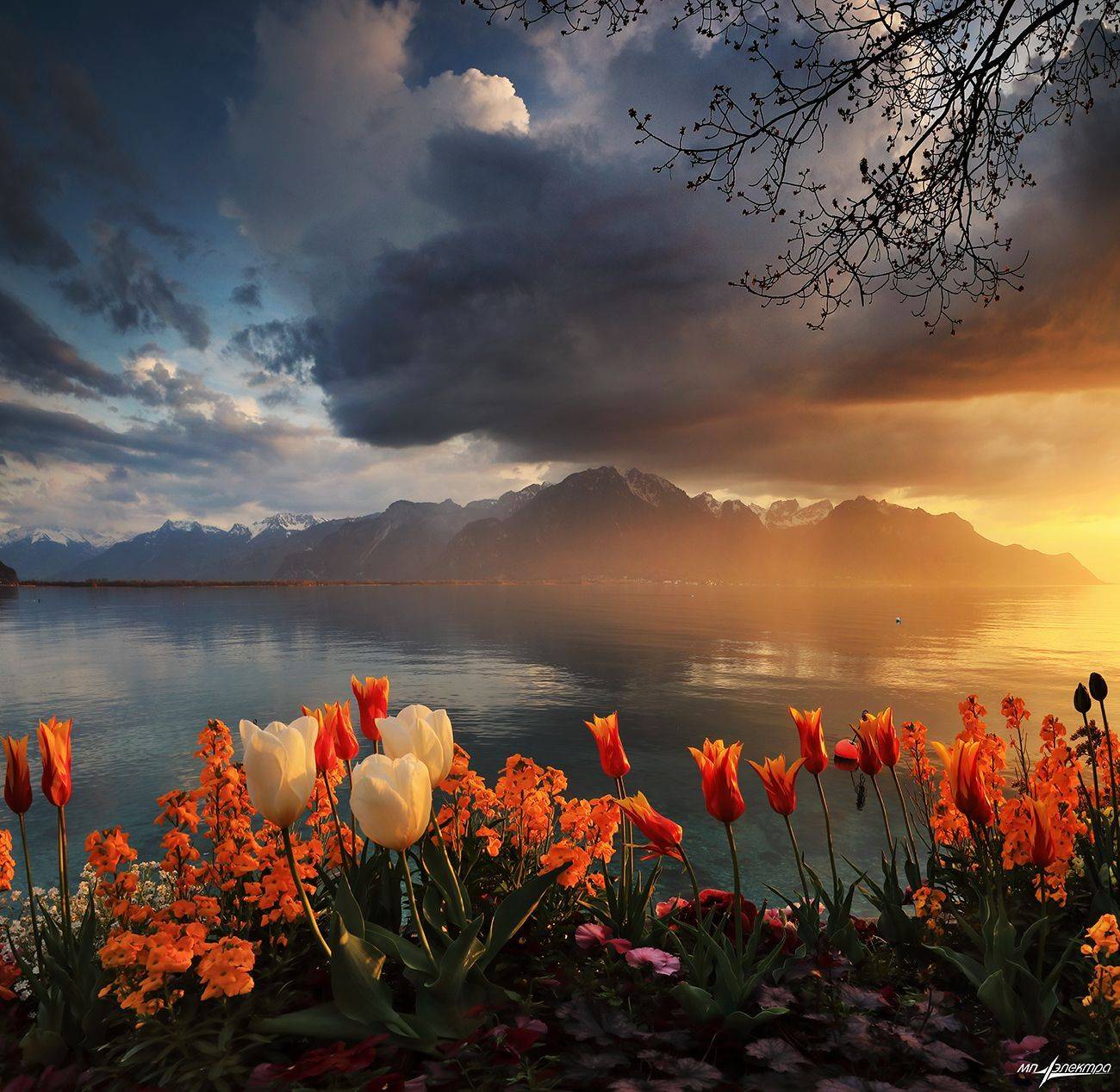 swiss,швейцария,весна,montreux, Николай Матвеев