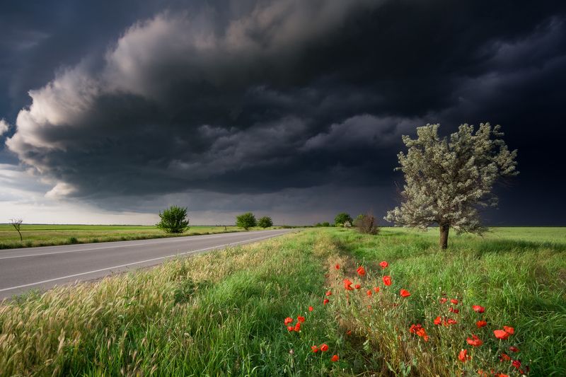 В ожидании дождя фото превью