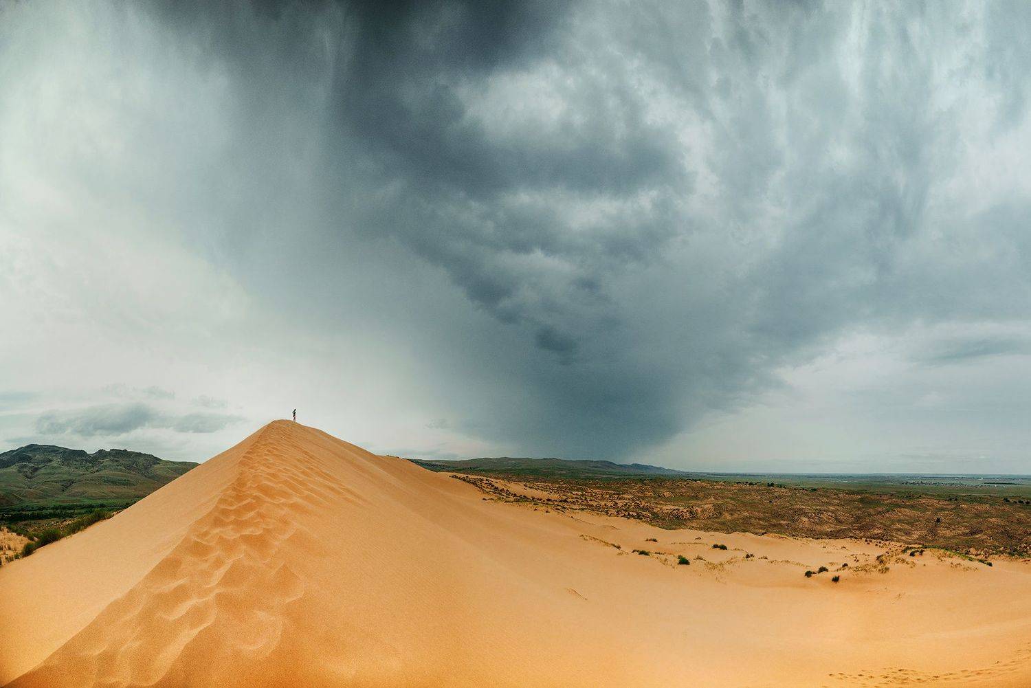 , Юрий Коваленко