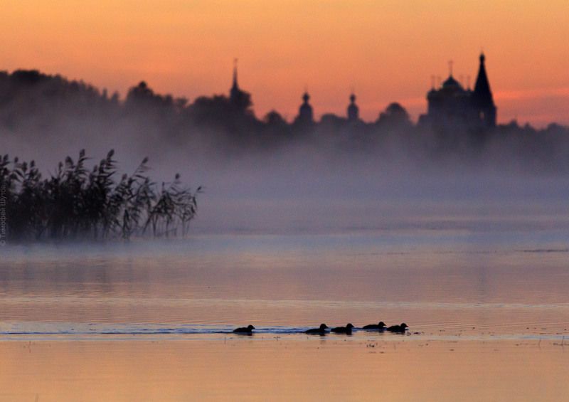 валдай Детсад на утренней прогулке фото превью