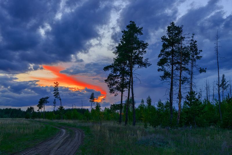 весна май закат дорога Закат... фото превью