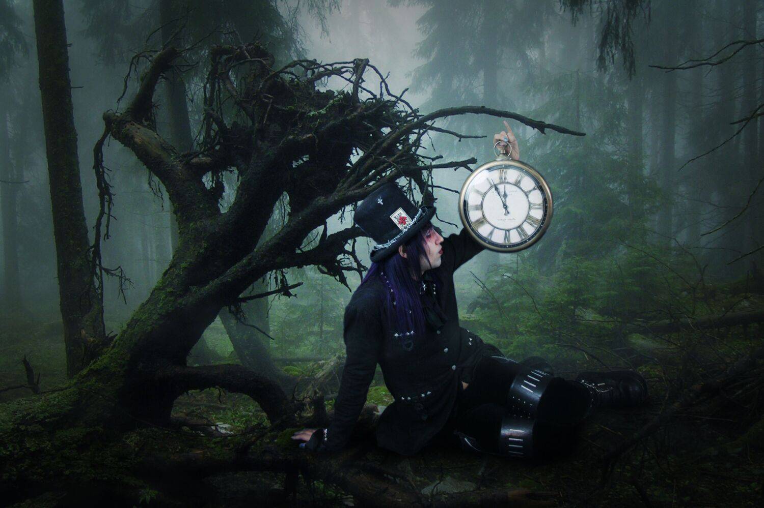 шляпник, лес, Sergii Vidov