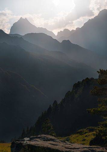 Вечерний свет