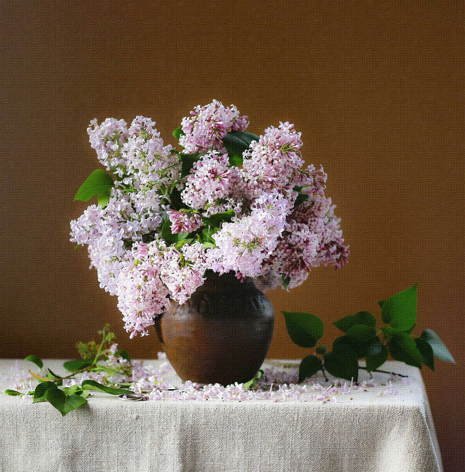 натюрморт, фотонатюрморт, лето, дача, весна, сирень, still life, stillifefoto, художественное фото, фотохудожник, наталья казанцева, Наталья Казанцева