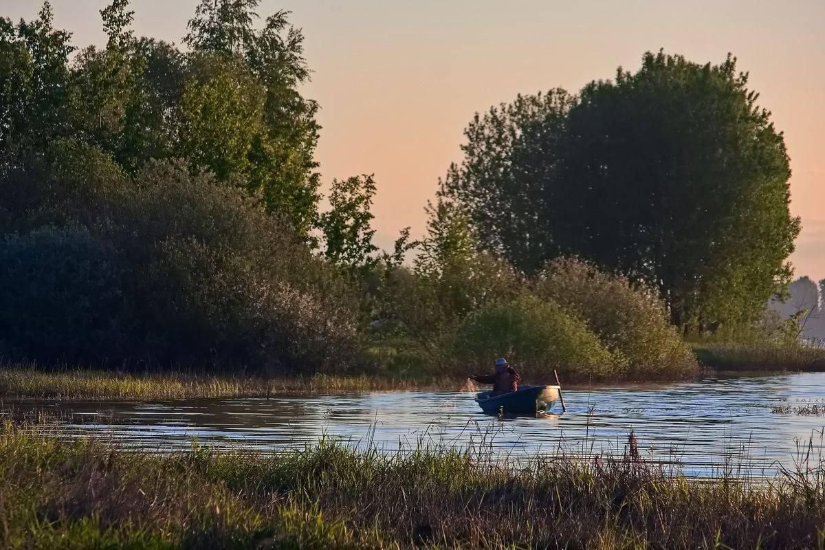 , Николаев Владимир