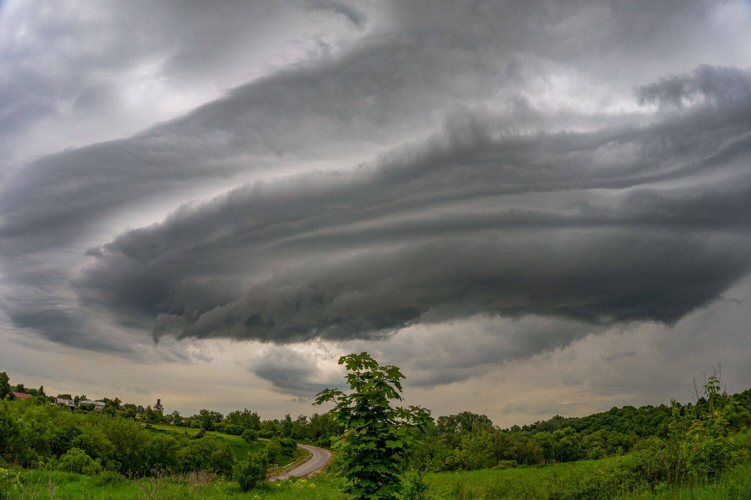 , Светлана Кондрашова