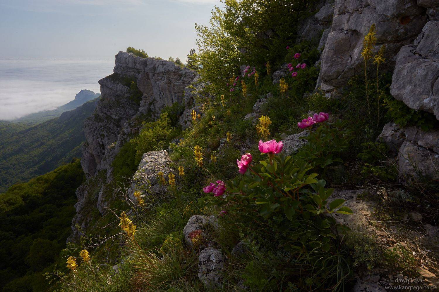 дмитр коваль, гималаи и крым вне треков, пейзаж как магия, Коваль Дмитр