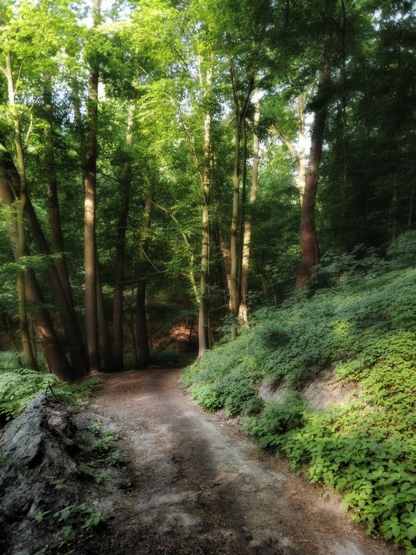 *** фото превью