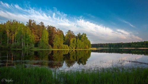 Теплый вечер на берегу озера
