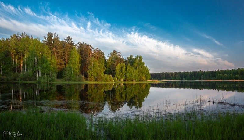 саров, протяжка, пейзаж, лето Теплый вечер на берегу озера фото превью