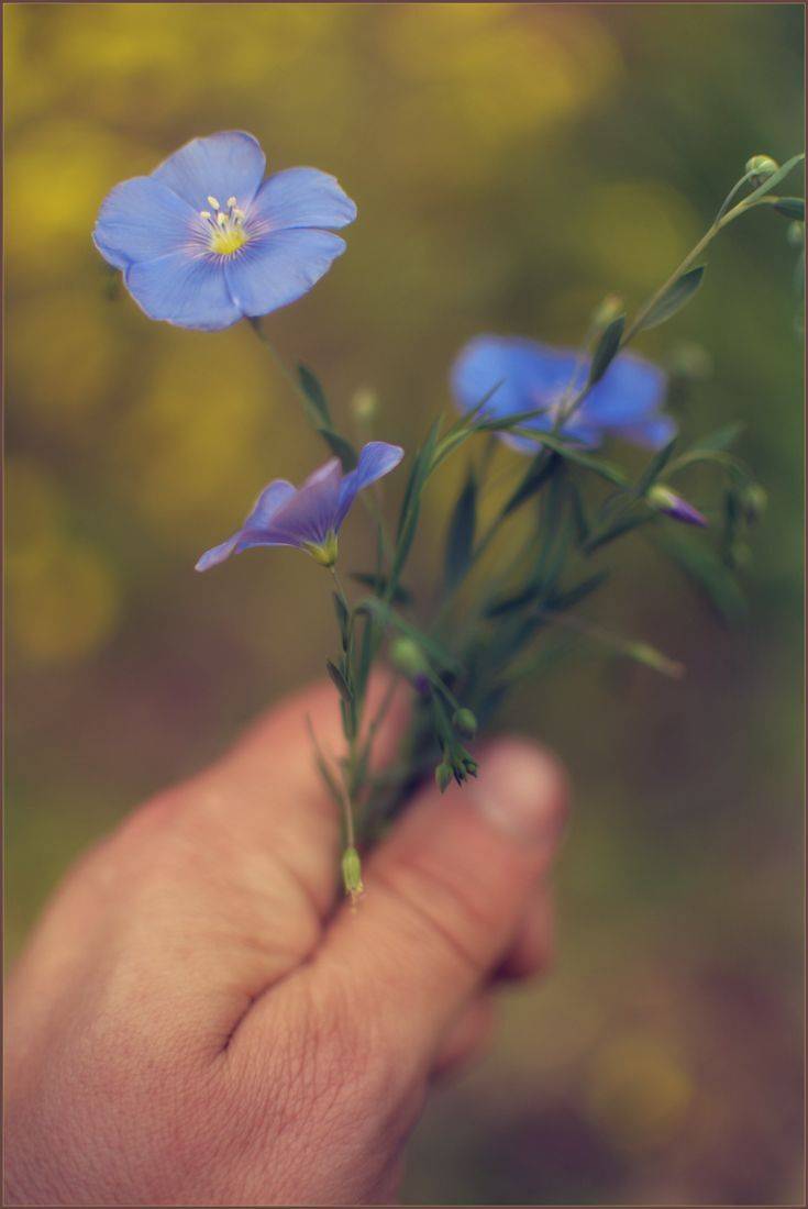 , Хромеев Александр