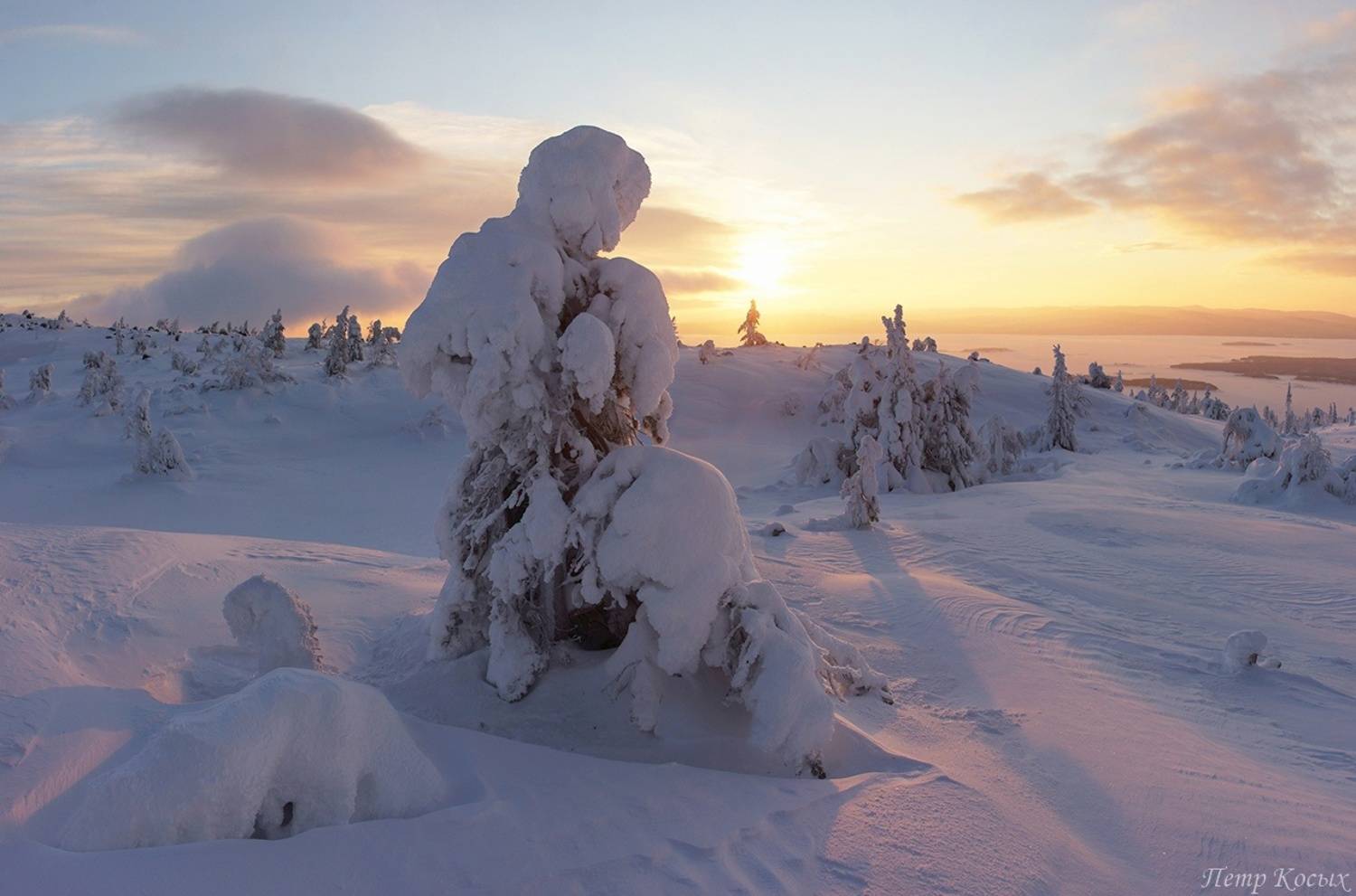 , Петр Косых