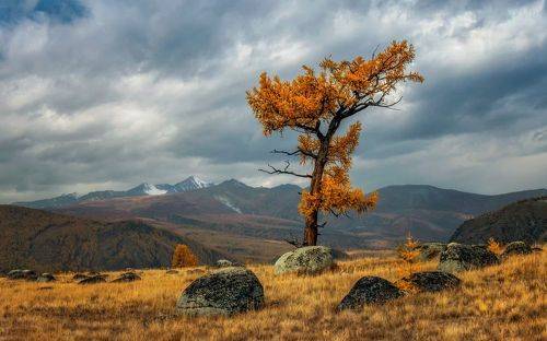 Всем ветрам вопреки...