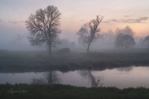 Вечерний туман...