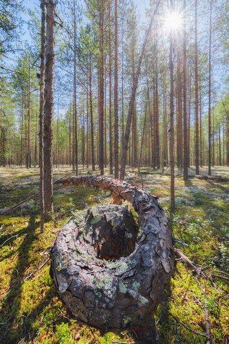 Жизнь по спирали