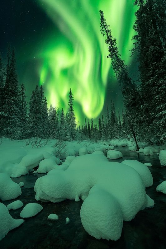 AuroraBorealis RiverAuroraKola фото превью