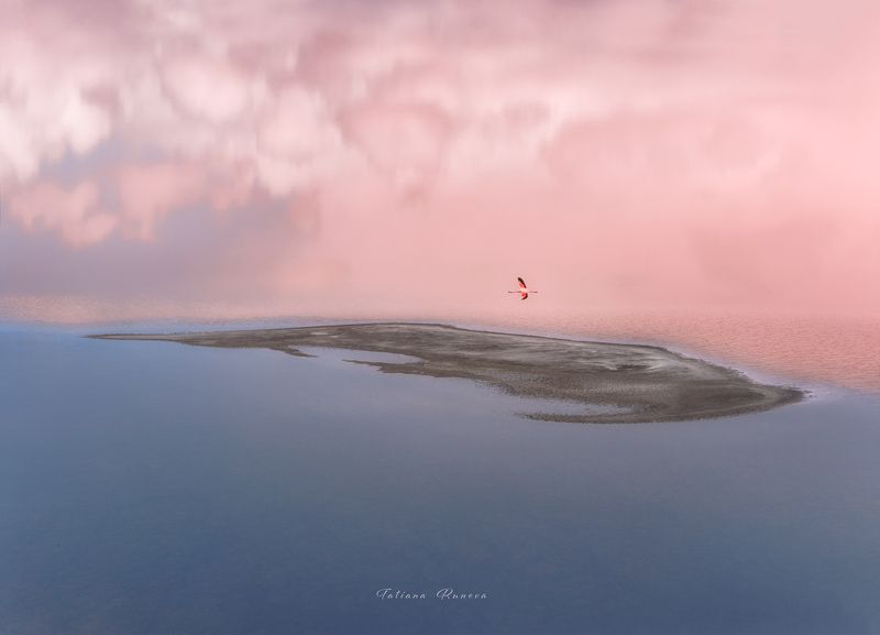 Отражения фото превью