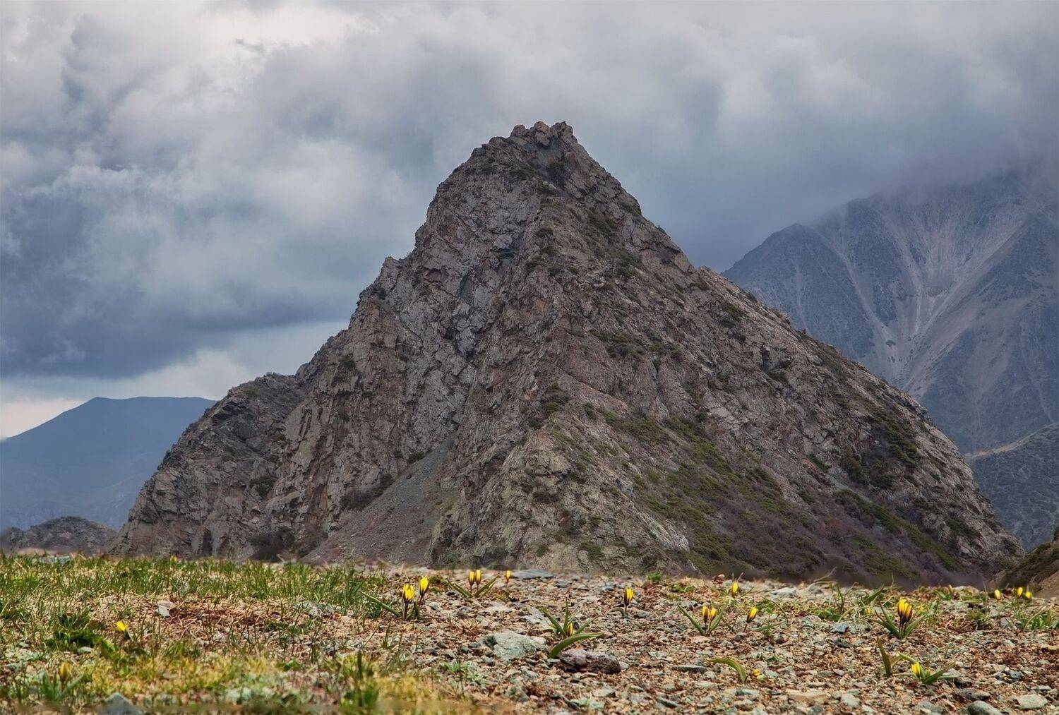 кыргызстан, Элина Магалимова