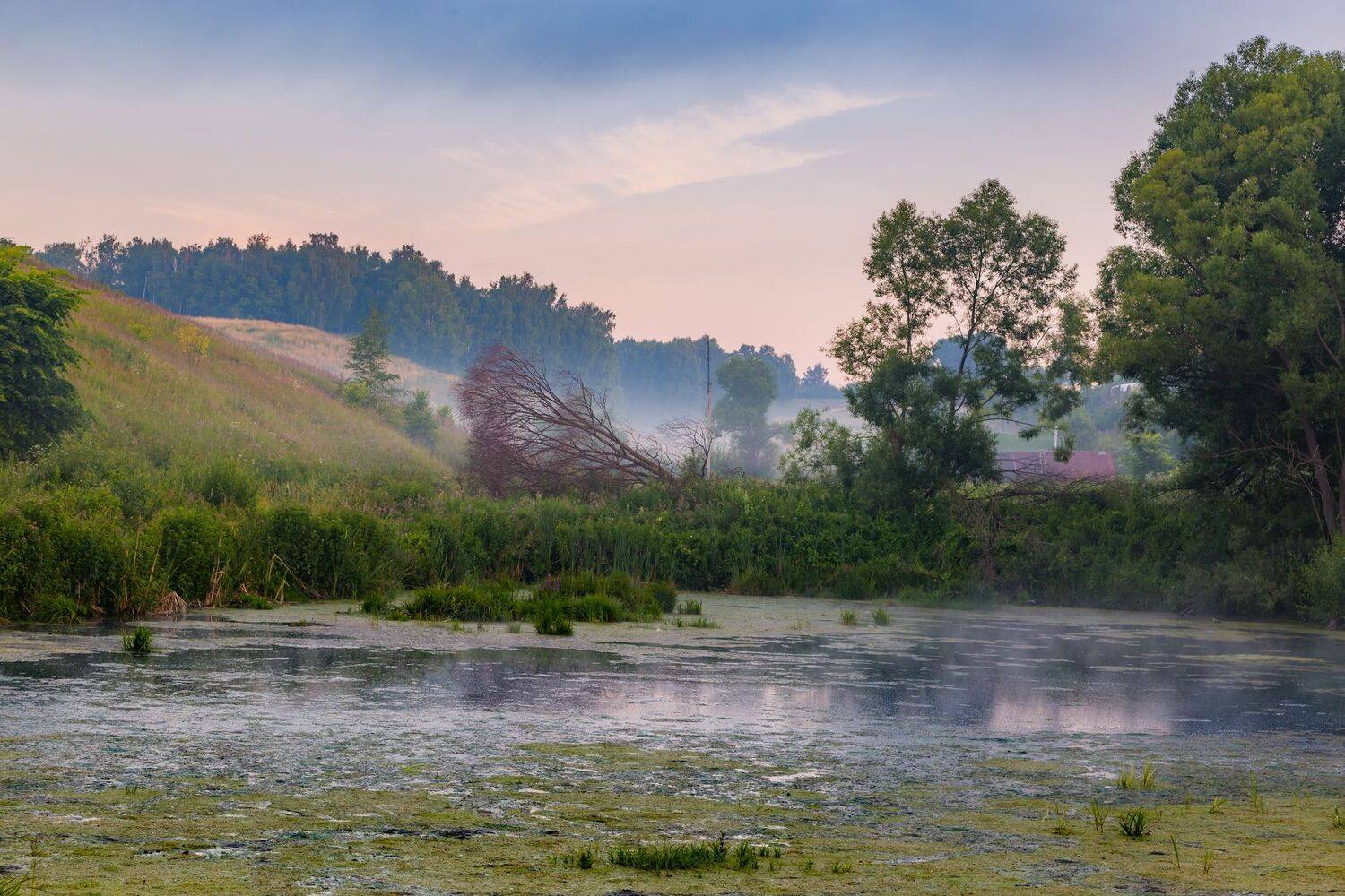 Пощупово, июль, пруд, утро, пейзаж, Юрий Морозов