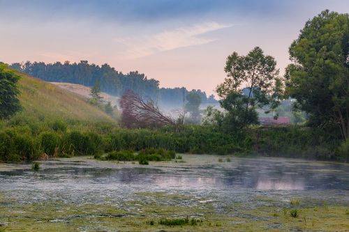 Старый пруд