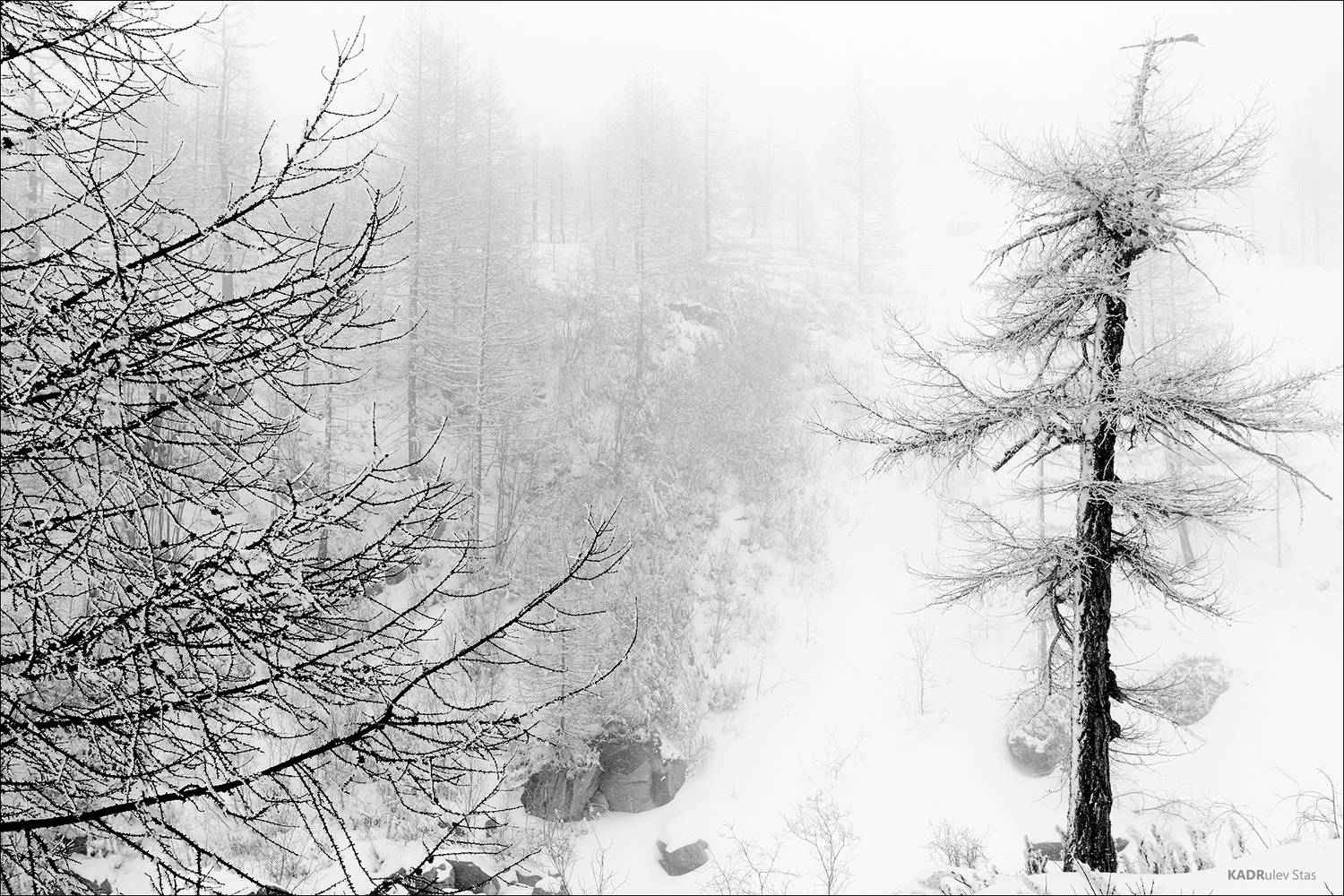 , Стас Кадрулёв