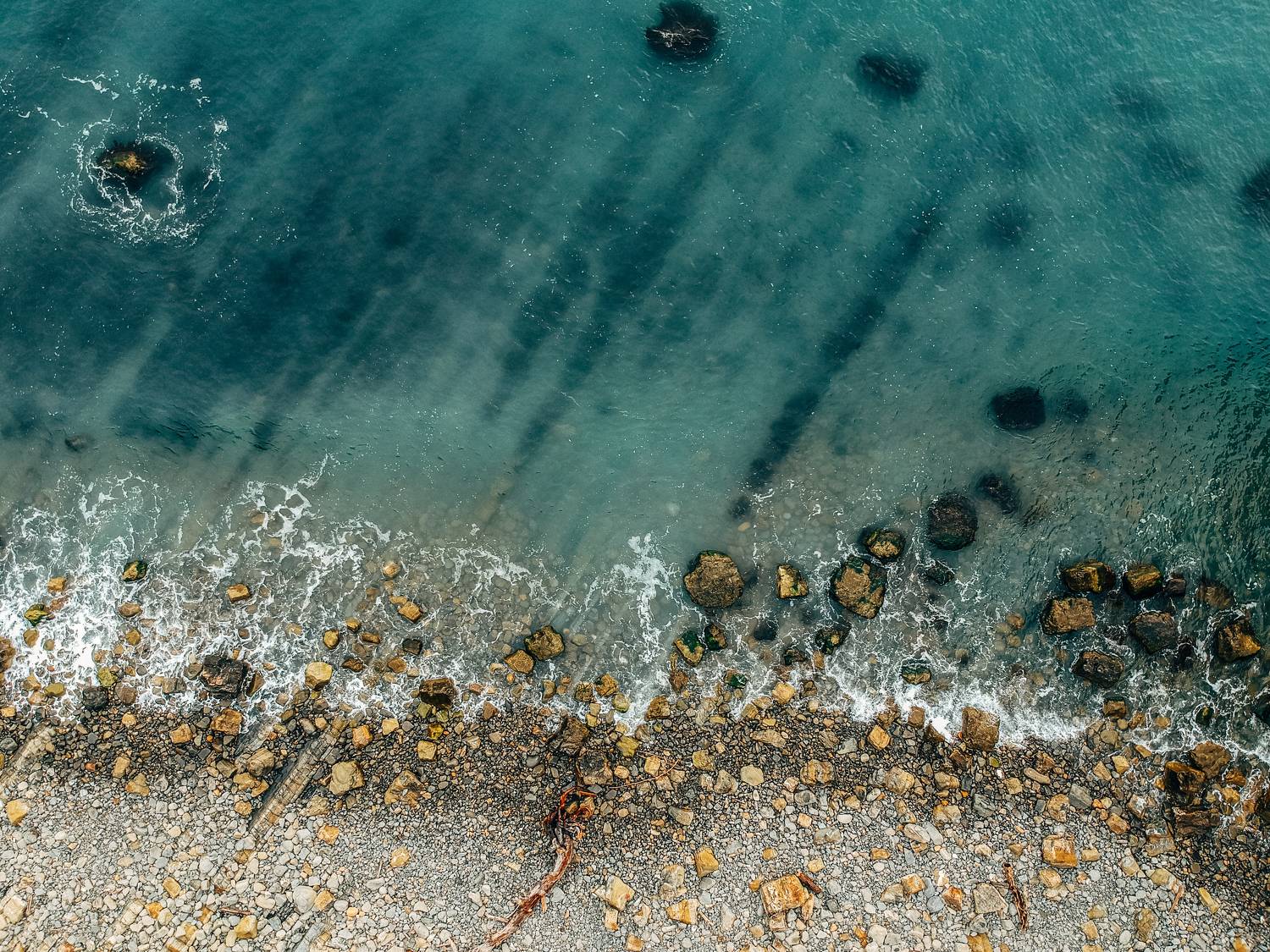 , Дмитрий Величко