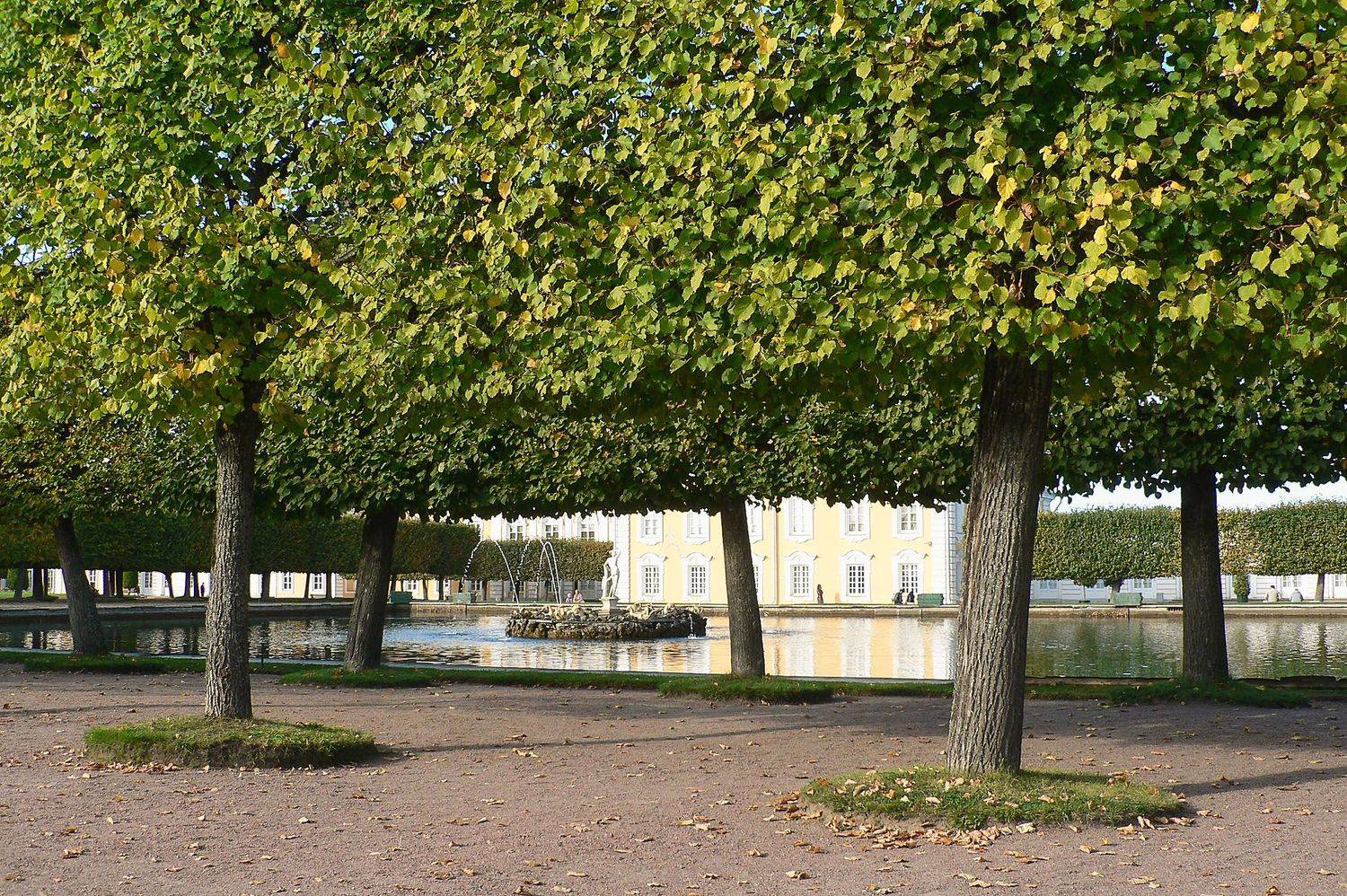 петергоф, КарОл